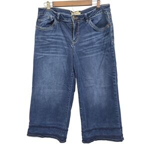 Democracy Womens 14 Dark Wash Stretch Capri Jeans Embroidered Hem Cropped Denim